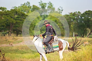 Cowboy`s way of life include riding a horse around locales