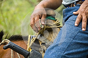 Cowboy in the saddle