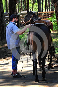 Cowboy Saddles Horse photo