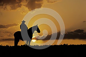 Cowboy silhouette photo