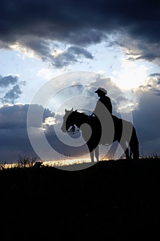 Cowboy silhouette