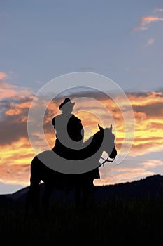 Cowboy silhouette