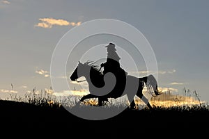 Cowboy silhouette