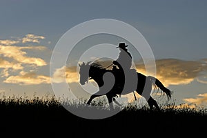 Cowboy silhouette