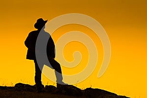 Cowboy silhouetted at dusk photo