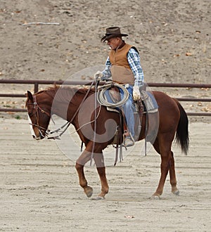Cowboy training a horse II.