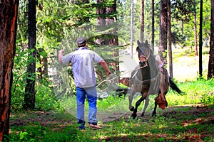 Cowboy Training Running Horse