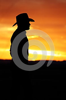 Cowboy Watching the Sunset