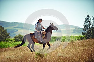 Cowboy, western and man riding horse with saddle on field in countryside for equestrian or training. Nature, summer and