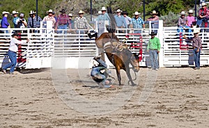 Cowboys competing in Ranch Bronc Riding