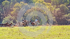 Cowboys Herding Wild Horses In Picturesque Country