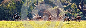 Cowboys Herding Wild Horses In Spectacular Country