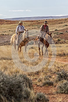 Cowboys Moving the Herd