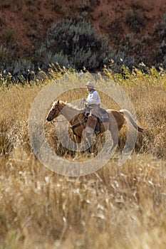 Cowboys Moving the Herd