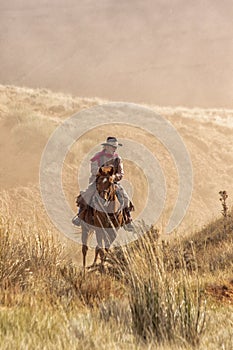 Cowboys Moving the Herd photo