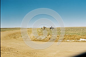 Cowboys Ranching On The Prairie