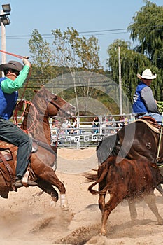 Cowboys at the rodeo