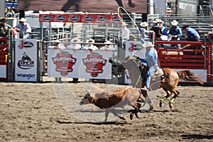 Cowboys team roping.