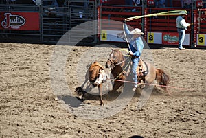 Cowboys team roping