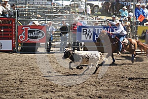 Cowboys team roping.