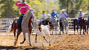 Cowboys Team Roping A Calf