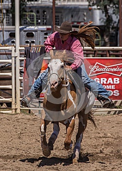 Cowgirl Barrel Racer