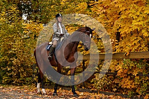 Cowgirl in a cowboy hat rides a horse on the background of the forest. Motion blur effect.