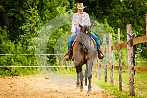 Cowgirl doing horse riding on countryside meadow