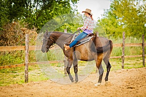 Cowgirl doing horse riding on countryside meadow