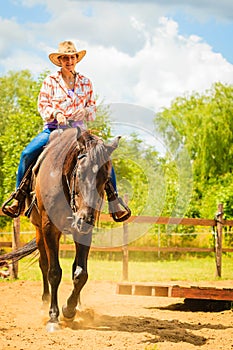 Cowgirl doing horse riding on countryside meadow