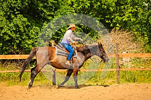 Cowgirl doing horse riding on countryside meadow