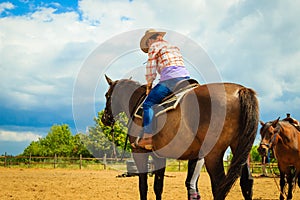 Cowgirl doing horse riding on countryside meadow