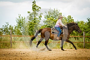 Cowgirl doing horse riding on countryside meadow