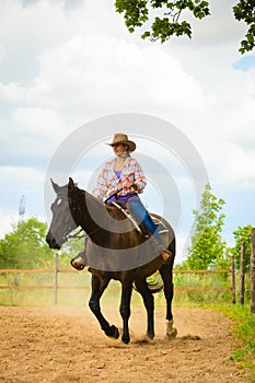 Cowgirl doing horse riding on countryside meadow