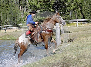 Cowgirl Emerging From Pond