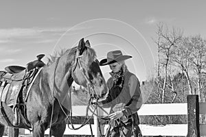 Cowgirl and a horse