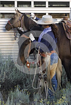 Cowgirl and Horses