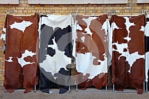 Cowhide