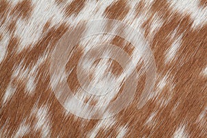 Cowhide brown