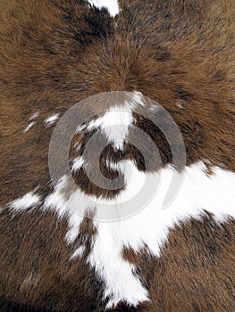 Cowhide