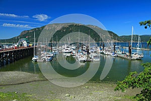 Cowichan Bay Marina, Vancouver Island, British Columbia, Canada