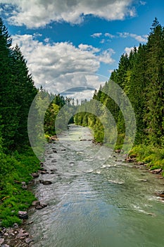 Cowlitz River In Washington State On Beautiful Day