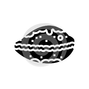 cowrie sea shell beach glyph icon vector illustration