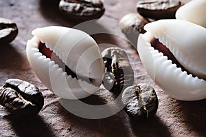 Cowrie shells and coffee beans.