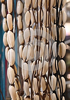 Cowry Shell Necklace