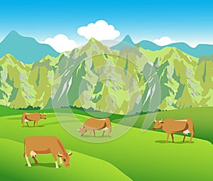 Cows on the Alpine meadows.Mountains range and green valley.