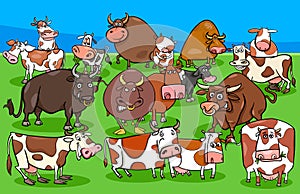 Cows and bulls farm animal characters group