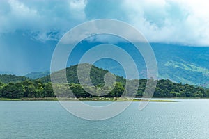 Cows eating grass along the Huai Pa Daeng Reservoir.