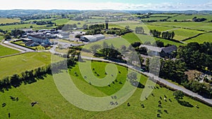 A cows on a field on a clear summer day, top view. Buildings among agricultural fields in West Cork. The countryside in Ireland.