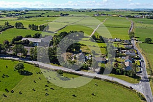 A cows on a field, summer day, top view. Buildings among agricultural fields in West Cork. The countryside in Ireland. Green grass